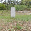 영천 청제 이미지