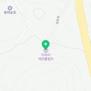 두바이애견풀빌라2 이미지