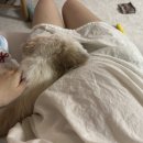 갈비창고26 이미지