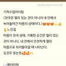 평화라이팅 이미지