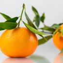 서민행정사사무소 이미지