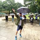 서울법의의원 네이버블로그