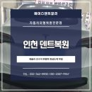 에이스덴트칼라