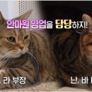 라라 농장 티스토리