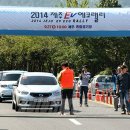 제주섬타임즈 이미지