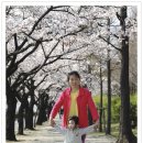 창원대로 이미지