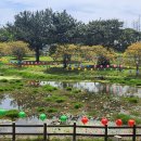 (제주) 제주공부모임 2025년 4월 공부모임 후기 이미지