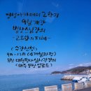지혜아카데미