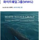 태양메디칼 이미지