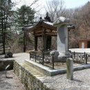 비로사진공대사보법탑비 이미지