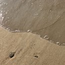 장미칼국수 이미지