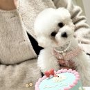 디어올리 이미지