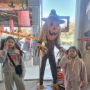 비행기 조형물 | 동구 예쁜 카페 슬로우벗베럴 대구점♡할로윈 분위기 &amp; 비행기 사진 맛집 ♡내돈내산 후기