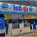 청춘회랑 이미지