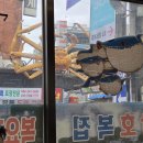 삼호복집 해물탕 이미지