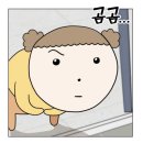 공룡도배부른안심탕수육