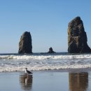 꽃지해송펜션 이미지