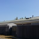 칼라강판 지붕공사 이미지