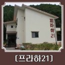 프라하21 펜션 네이버블로그