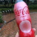 도미노피자경산사동점 | 일본에서 온 &lt;복숭아 코카콜라&gt; 후기