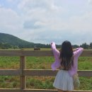 다다목장 이미지