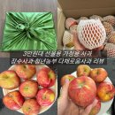 장수우체국 | 25년 햇 홍로 장수사과 다채로움사과 선물세트 가정용 못난이사과 리뷰
