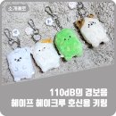 헤이크