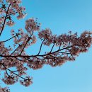 경희모세한의원 이미지