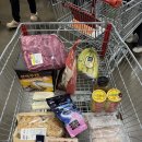 [후기] 코스트코 구매 후기 | 살치살 정육 및 맛 솔직후기