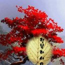 동천농원