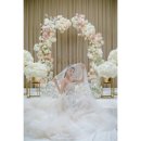 스테이그라피 이미지