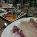 회와 멍게 친구들 이미지