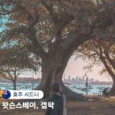 도래공원 | 호주 시드니 자유여행 페리타고 간 왓슨스베이 비치 갭팍 공원