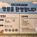 하늘을 걷는 고양이 카페 이미지