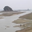 앞개포구 이미지