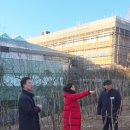 양진중학교 이미지