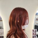 쌤언니디자인 이미지
