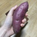 상은청과