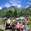 과거와 자연이 일상을 잊게 하는 곳 - 중국 리장 이미지