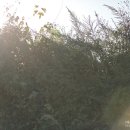 호숫가의 하얀집 이미지