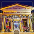 허브아일랜드 아테네홀 | 허브아일랜드 아테네홀 레스토랑 핑크트리 구경하고 맛집으로