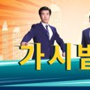 단담