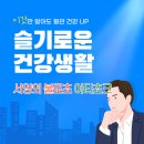 아티초크 효능과 부작용 이미지