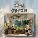 궁남로스테이