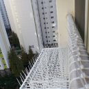 임광크리닝 이미지