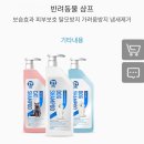 니스인터내셔날 이미지