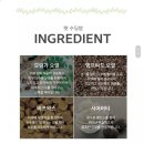 개팔짜상팔짜 | 아인솝 수딩밤으로 새끼강아지 발바닥 관리해봤어요 (강아지 발밤 크림, 강아지 발사탕)