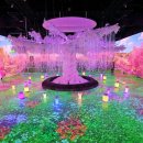 “이런 전시는 난생처음이야”… 추운 요즘에 딱, 신화가 살아 움직이는 이색 실내여행지 이미지