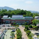 산청풋살장 이미지