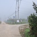 치악산둘레길 9코스 자작나무길 이미지